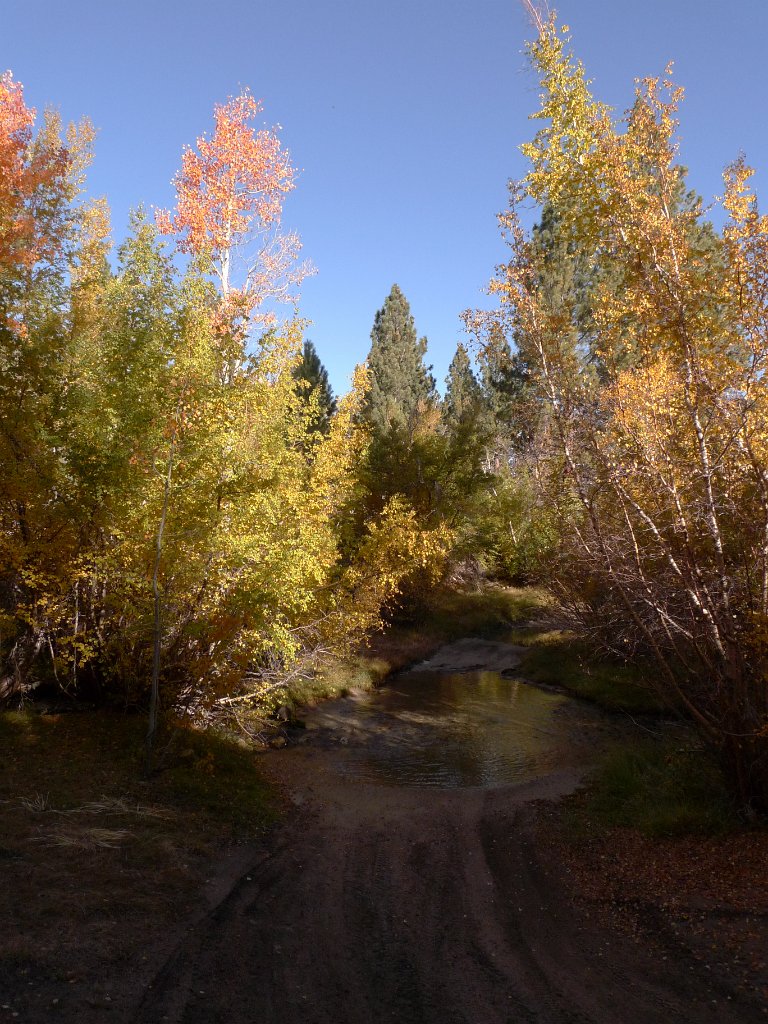 California-Fall2010 661.JPG